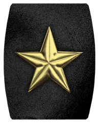 DAREC 430 GD BK Star Gold Black